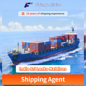 FCL LCL Sea-Freight Shipping From China To India Sri Lanka Maldives Logistics Service Shipping Agent