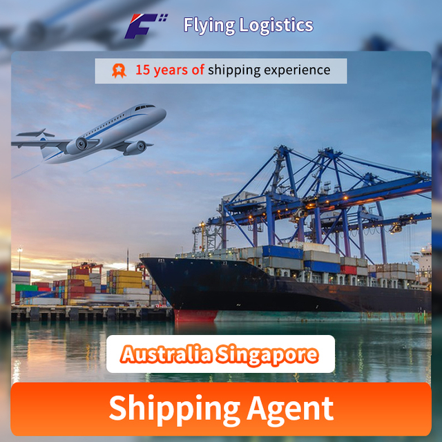 FBA Warehouse Air Freight/Sea Shipping/Express Delivery Shipping Freight Forwarder From China To Australia Singapore Amazon Warehouse