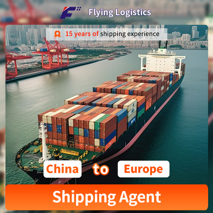 Sea Freight Shipping Agent From China To Europe Electric Vehicle Oversized Cargo Logistics Services