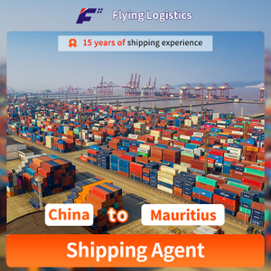 LCL Sea Freight Agent Forwarder Shipping From China to Mauritius