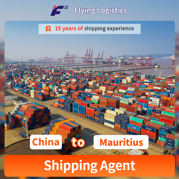 LCL Sea Freight Agent Forwarder Shipping From China to Mauritius