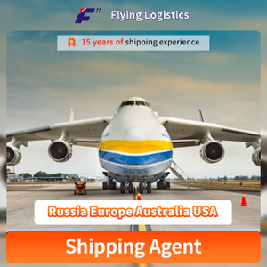 International Shipping Company Door to Door Service Air Shipping to Russia Europe Australia USA Dropshipping Agent