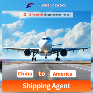 Air/Sea Ocean Freight Container FCL/LCL Agents From China to Los Angeles, Houston, Oakland, New York, Chicago, Miami United States/America Door to Door DDP Shipping