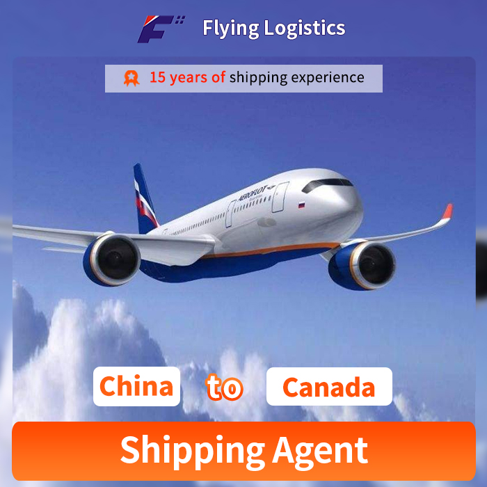 Cheapest DHL UPS FedEX Express Air Freight Logistics Air Shipping to Canada by Speed Logistics Service Freight Forwarder