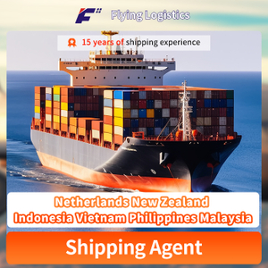 China to Netherlands New Zealand Indonesia Vietnam Philippines Malaysia Air Cargo Sea Freight Forwarder Shipping