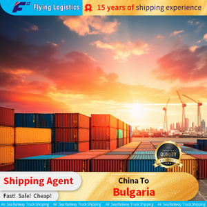 Efficient Freight Forwarder From China to Bulgaria Door To Door Service