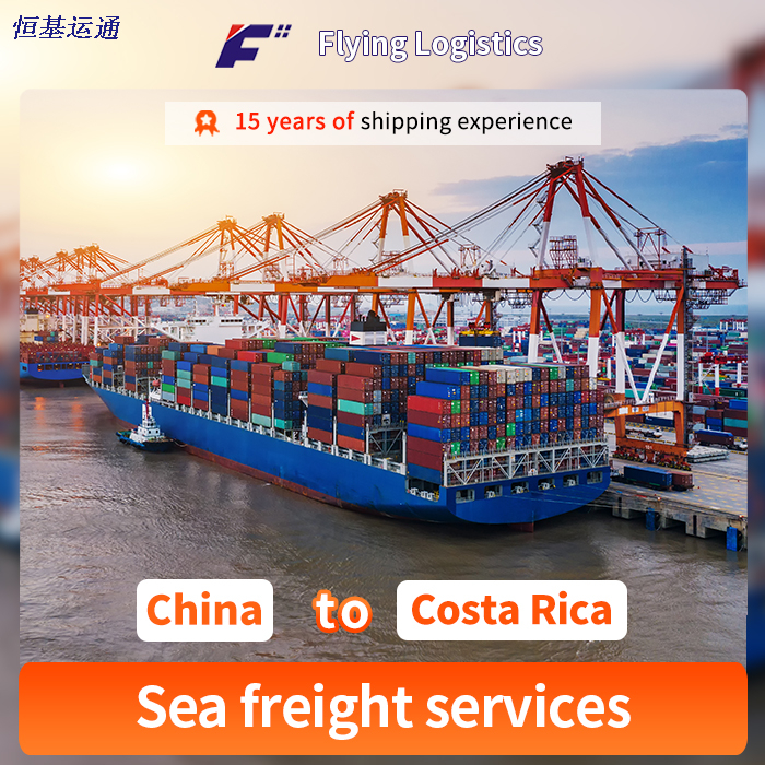 Sea/Air Shipping Agent From China to Costa Rica, 1688,And Goods Buying Agent