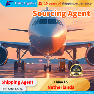 Excellence Precision Freight Forwarding: China to Netherlands