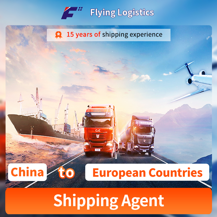 Sea Freight Shipping Agent Service From China To Latvia,Poland,Lithuania,Estonia/Romania/Croatia Best China Shipping Albania/Bulgaria