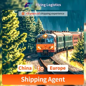 Cheapest Rate Railway Freight Service China to Europe DDP/DDU