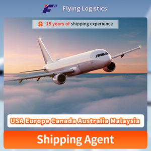 Air Shipping Freight from China to USA Europe Canada Australia Malaysia Express-delivery Logistics Freight forwarder service UPS DHL FedEX