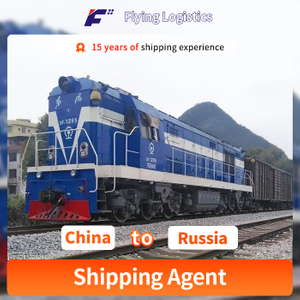 Fast Railway Container Shipping to Moscow/St. Petersburg/Novosibirsk/Yekaterinburg, Russia From China