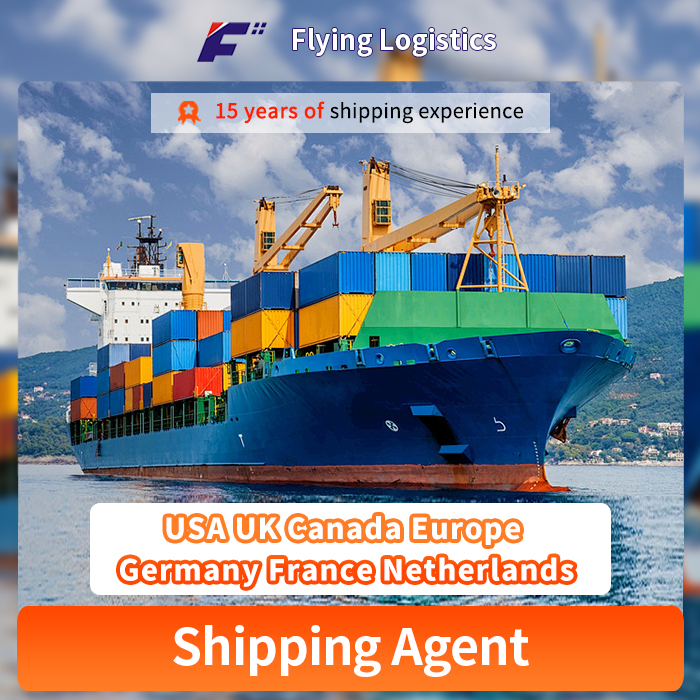 Professional Air Ocean Sea Freight International Shipping DDP Freight Forwarder Agent From China to USA UK Canada Europe Germany France Netherlands Logistics Service