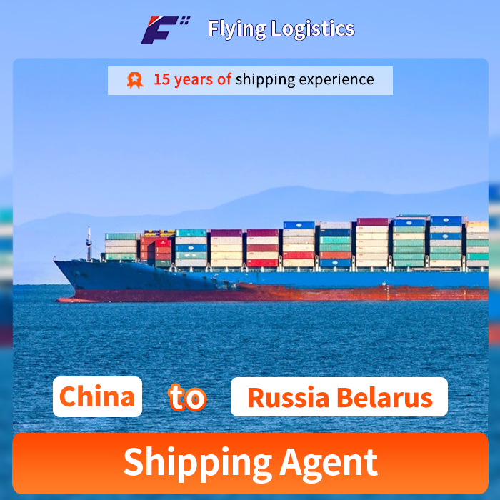 Forwarder Shipping Agent Full or Less Than Container Load DDU DDP Sea Freight Shipping Transportation From China to Russia Belarus