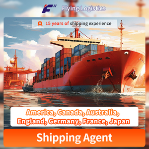 Amazon Fba Door to Door International DDP Shipping Service From China to America, Canada, Australia, England, Germany, France, Japan Logistics Service