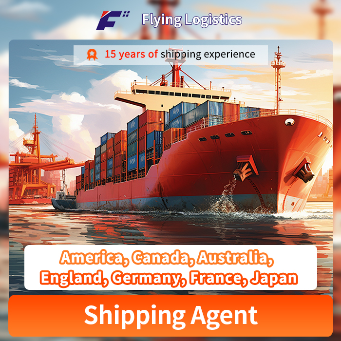 Amazon Fba Door to Door International DDP Shipping Service From China to America, Canada, Australia, England, Germany, France, Japan Logistics Service