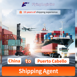 Fast Cheap Sea Shipping Agent From China to Puerto Cabello Logistics Service