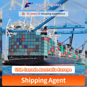 Fba Amazon DDP Sea Shipping Agent From China to USA Canada Australia Europe Sea-freight