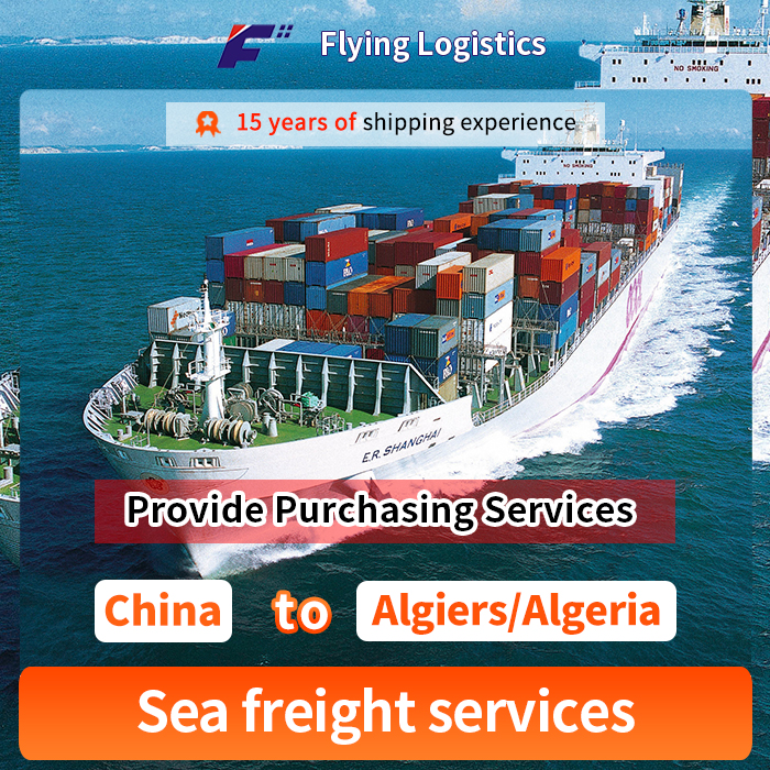 Sea Freight Shipping Agent From China To Algiers/Algeria LCL FCL Container Shipping