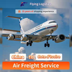 Shipping Service Forwarder Shipping to Cote D′ Ivoire International Express Air Freight Shipping Agent Logistics Freight Freight Forwarder