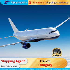 Freight Transportation Agent From China To Hungary Logistic Service Provider