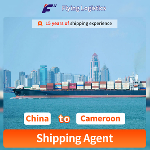 Sea-freight Shipping Service To Cameroon Shipping Agent