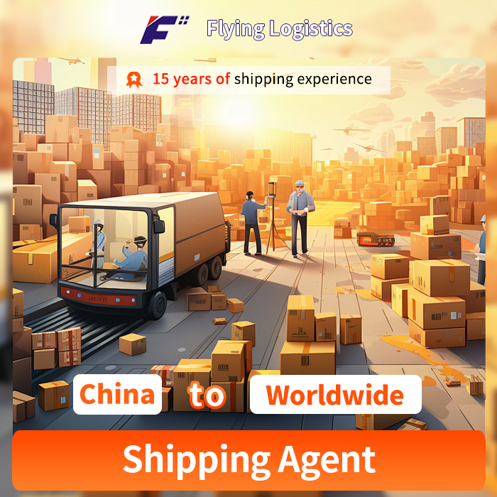 Professional DHL/FedEx/UPS/TNT Freight Shipping Agent From China to Worldwide Logistics Service