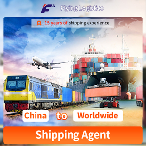 Fast International Air/Sea Freight Shipping Agent From China to Us Canada Australia Poland Slovakia Denmark Sweden France Italy Spian Netherlands Europe logistics