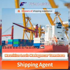 Sea Fast Logistics Transportation Ocean Shipping Container Agent Service Freight Forwarder Sea Shipping From China to Mauritius Louis Madagascar Tamatave