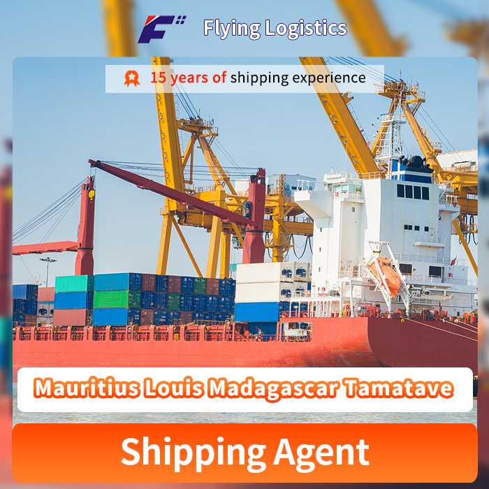 Sea Fast Logistics Transportation Ocean Shipping Container Agent Service Freight Forwarder Sea Shipping From China to Mauritius Louis Madagascar Tamatave