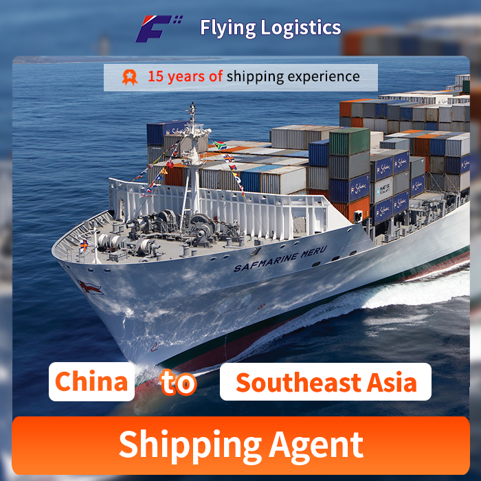 ShenZhen---Southeast Asia FCL LCL Special Line with Preferential Prices and Large Quantities of Receipt Shipping Agent Logistics Service