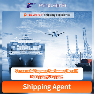 Logistics Service Transport Cargo Sea Freight Shipping From China To Venezuela/Guyana/Suriname/Brazil/Paraguay/Uruguay Cargo Ship Price And Air Freight DHL Fedex UPS