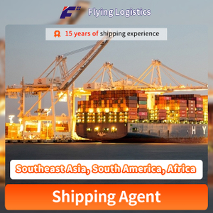 Sea Shipping Agent From China To Southeast Asia, South America, Africa, Sea Freight