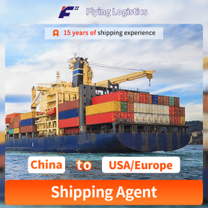 Amazon Fba Door To Door DDP DDU Sea Freight/Air Shipping From China To USA/Europe Transportation Company Logistics Service