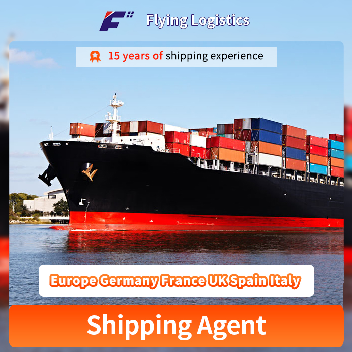 Air Freight Shipping Service/Sea Freight Forwarder/ Air Cargo Ship Price /Shipping From China To Europe Germany France UK Spain Italy Transportation Company