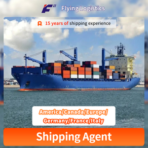 International Reliable Fast Air/Sea/Express/Railway Freight Forwarder Company Shipping to America/Canada/Europe/Germany/France/Italy Logistics/Agent From Yiwu