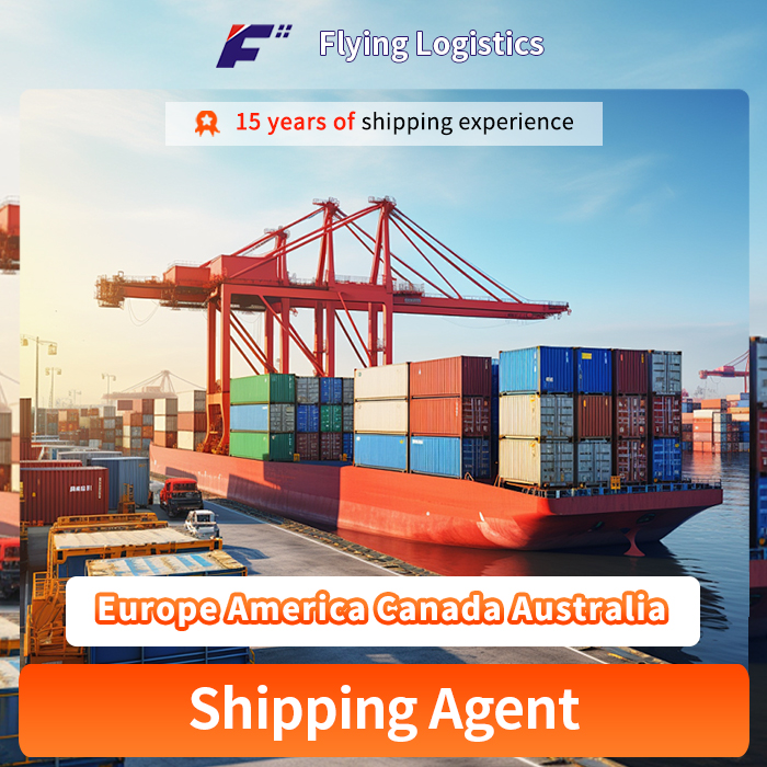 Air Freight Sea Freight From China to Europe America Canada Australia by DHL/FedEx/UPS/TNT/1688 Express