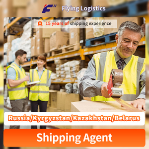 Warehouse Services and Direct Shipping to Russia/Kyrgyzstan/Kazakhstan/Belarus Shipping Agent Logistics Service LCL FCL