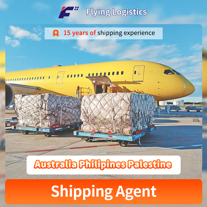 Cheap Air Cargo Logistics Service Shipping International Air Freight From China to Australia Philipines Palestine