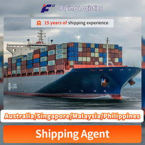 Express/Sea Freight/Air Cargo Freight/DDP DDU From China to Australia/Singapore/Malaysia/Philippines Freight Forwarder Shipping Agents Logistics Service