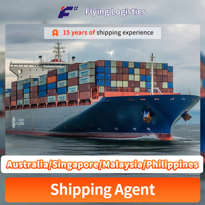 Express/Sea Freight/Air Cargo Freight/DDP DDU From China to Australia/Singapore/Malaysia/Philippines Freight Forwarder Shipping Agents Logistics Service