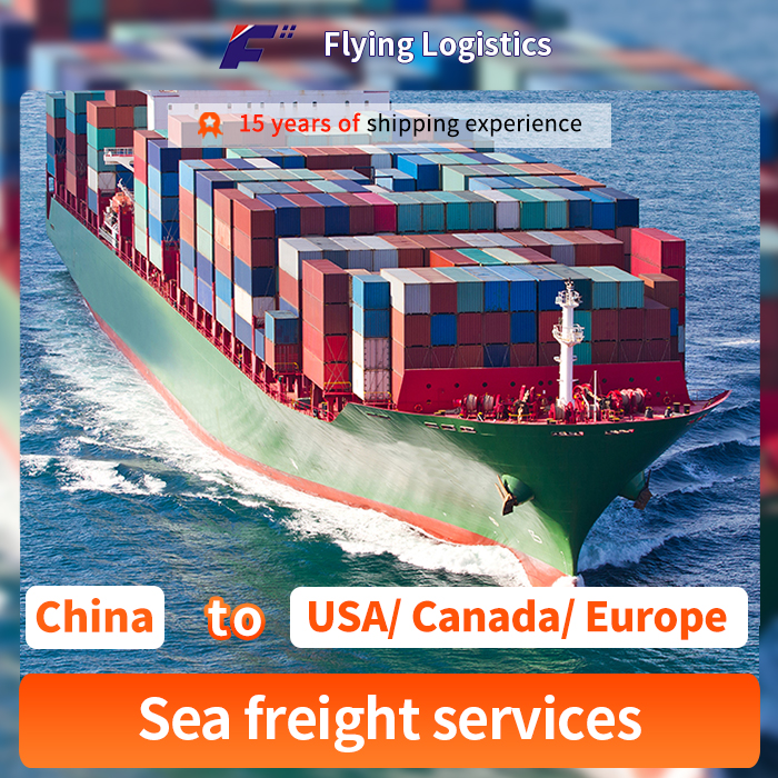 Professional International Logistics Service Sea Freight Forwarder Shipping Agent From China to USA/ Canada/ Europe