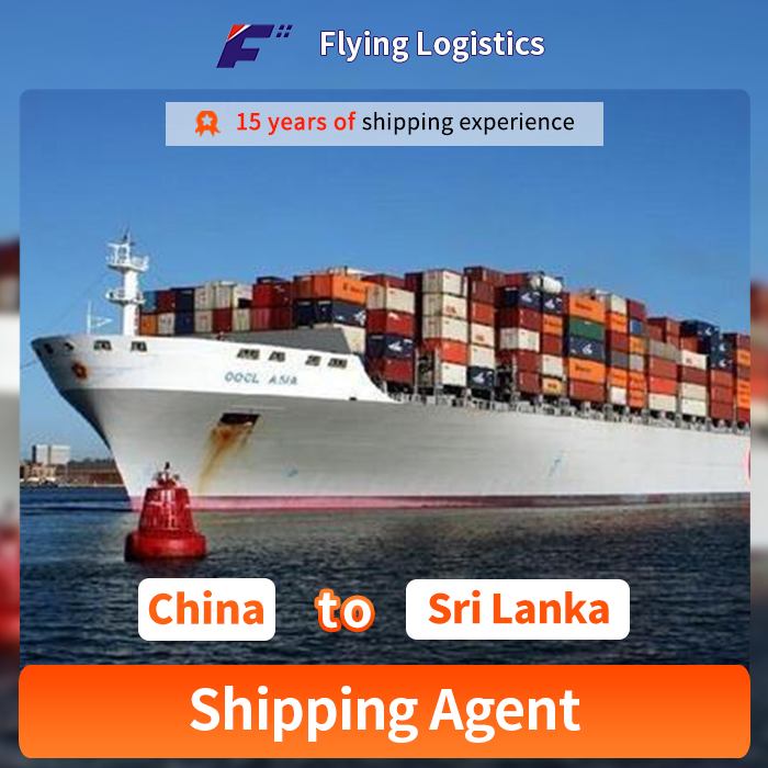 Reliable and Fast Sea Freight Shipping Agent Company Cheap Cost Sea Freight From China To Sri Lanka