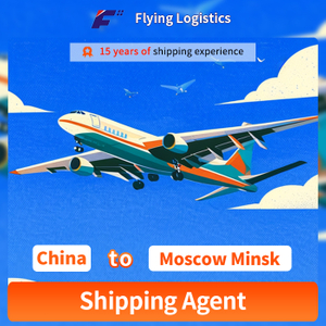 China Cheap Delivery to Russia Air/Railway/Sea Shipping Freight Forwarder Door to Door Logistics Service Shipping Agent to Moscow Minsk