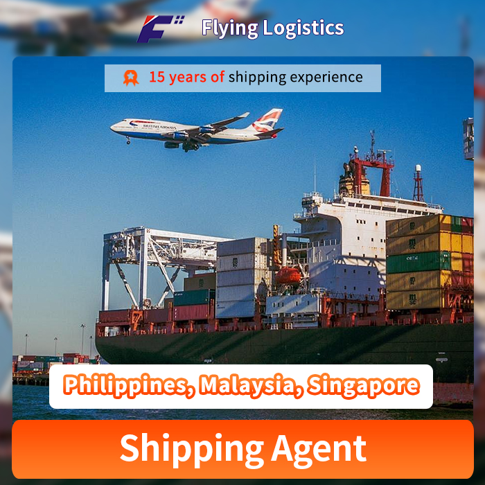 15 Years of International Logistics Experience Shipping Agent Logistic Service Sea/Air/Railway/Truck Freight Forwarder From China To Philippines, Malaysia, Singapore