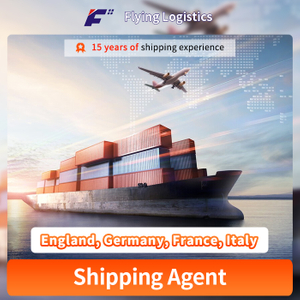 FBA Air Freight/Sea Shipping/Express Delivery Shipping Freight Forwarder From China To England, Germany, France, Italy, Europe Amazon Warehouse