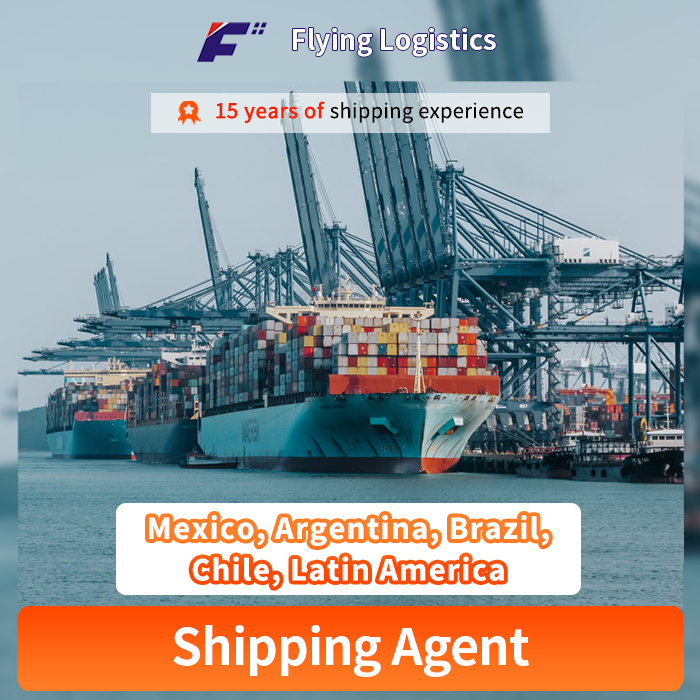 Professional Door to Door Logistics Shipping From China to Mexico, Argentina, Brazil, Chile, Latin America