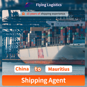 Professional Cheaper LCL/FCL Sea Freight Shipping to Mauritius Logistics Service