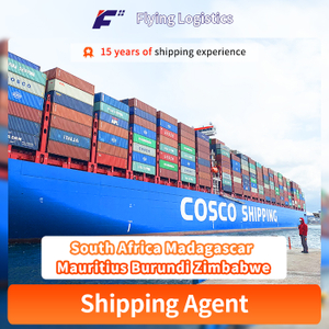 Competitive Sea and Air Freight Rates Shipping Logistics From Shenzhen China to South Africa Madagascar Mauritius Burundi Zimbabwe FCL LCL