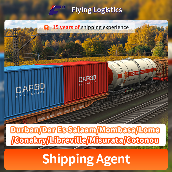 Professional Chinese Rail Transportation Railway Freight Shipping Agent From China to Durban/Dar Es Salaam/Mombasa/Lome/Conakry/Libreville/Misurata/Cotonou Freight Forwarder